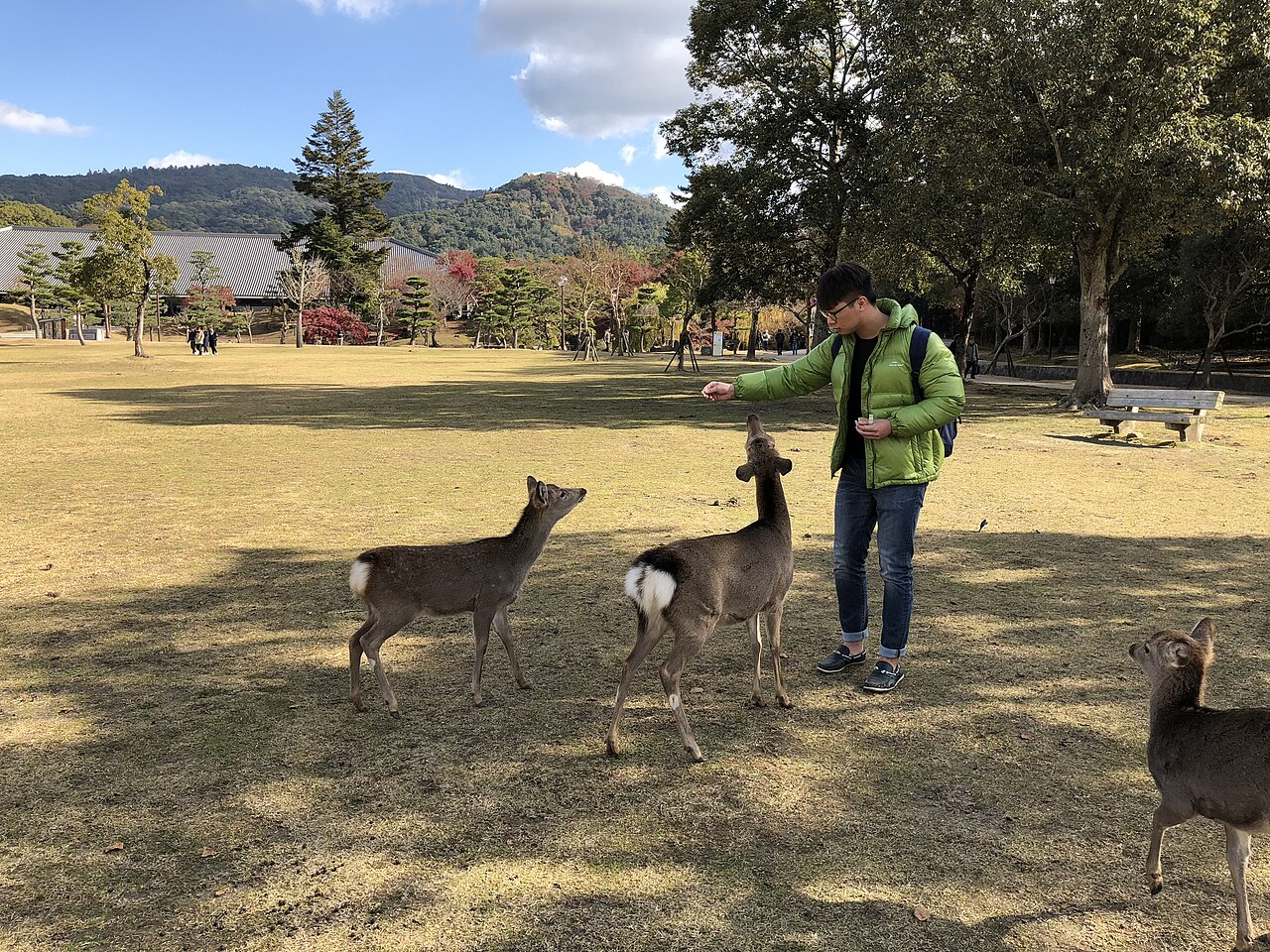 カスタム家族旅行プラン